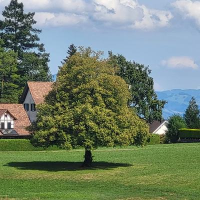 Seminarort Schweiz